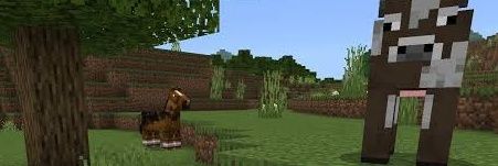 dibircik's profile banner image