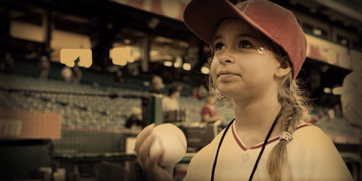 Sons of Baseball banner