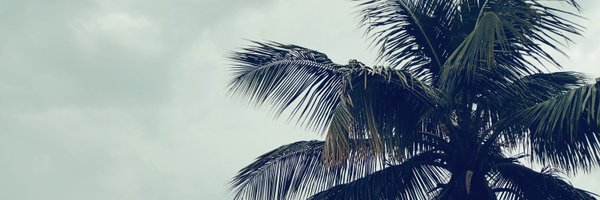 Iam_Juwon1 Profile Banner