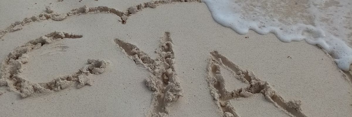 AlexElizalde02's profile banner image