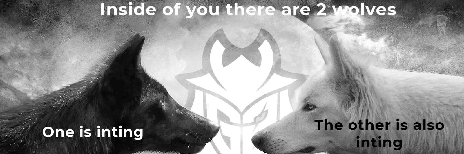 Alexis MG banner