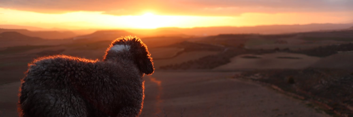 JoseRCme's profile banner image