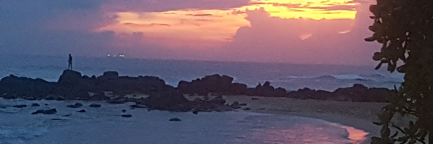 karen hutchings banner