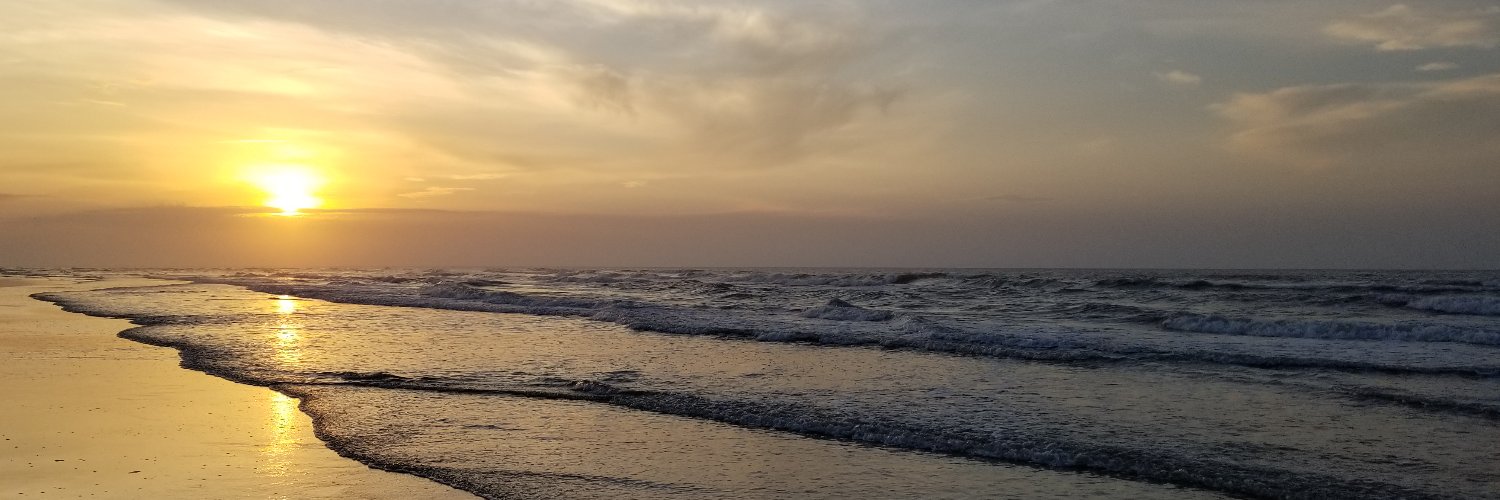 rybizz10's profile banner image
