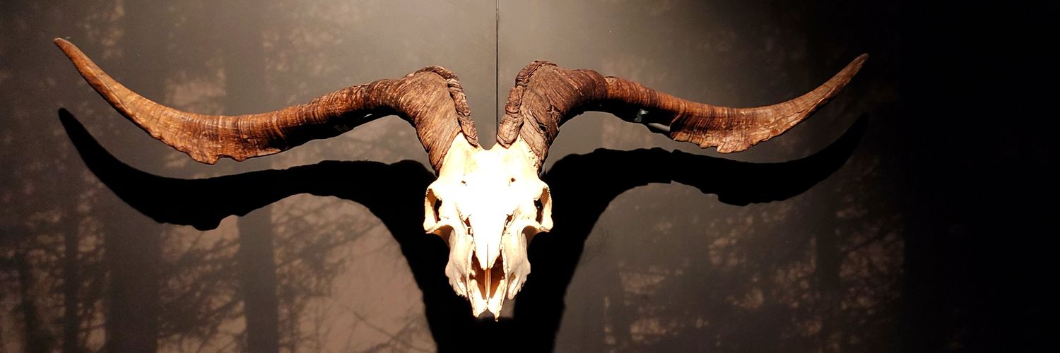 gorkanroll's profile banner image