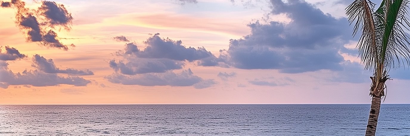 mayzeet's profile banner image