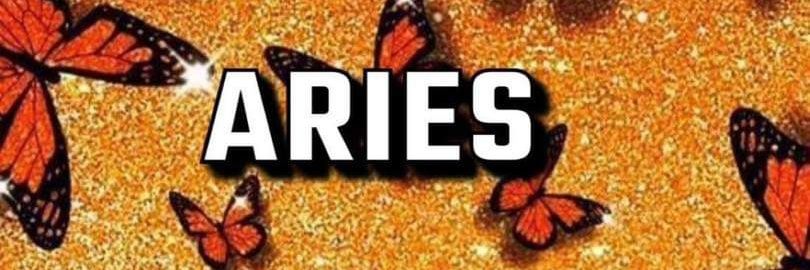 Sibo04_'s profile banner image