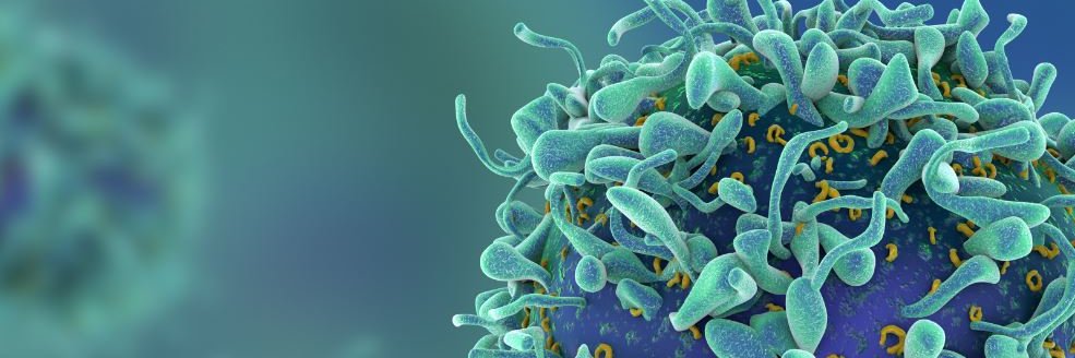 Soligenix, Inc. banner