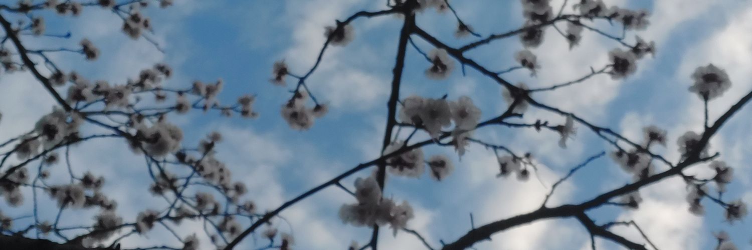 hatctt's profile banner image