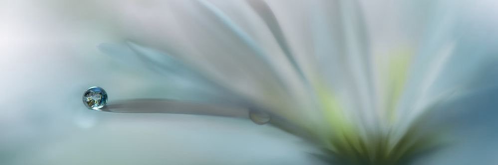 okclo_'s profile banner image