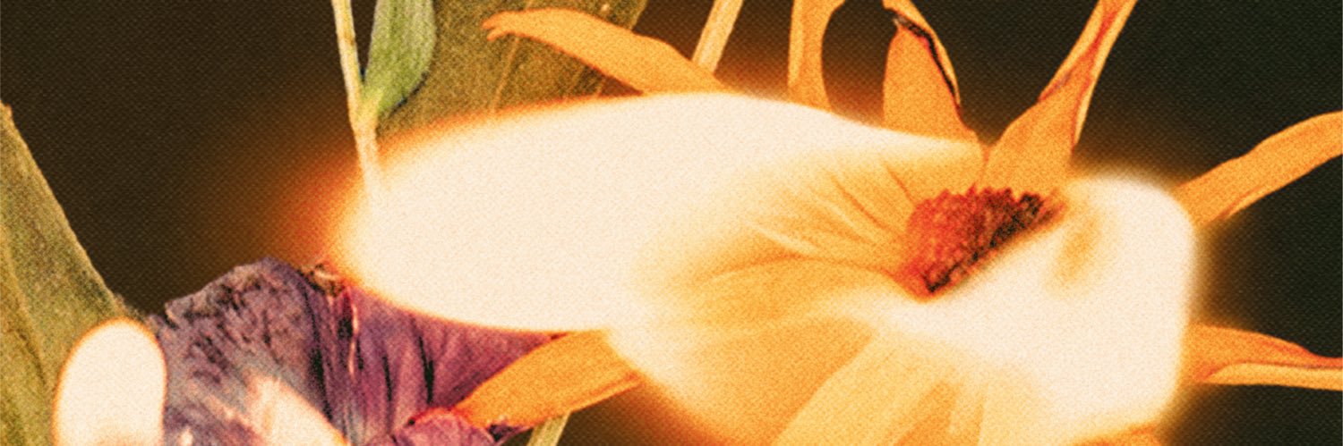 genousse's profile banner image