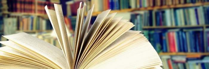 Red BECREA Granada banner