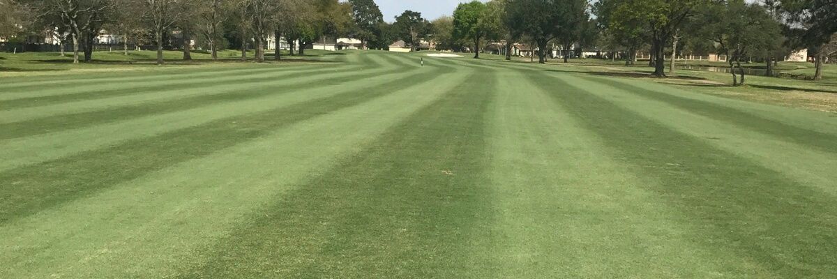 timphillipsgolf's profile banner image