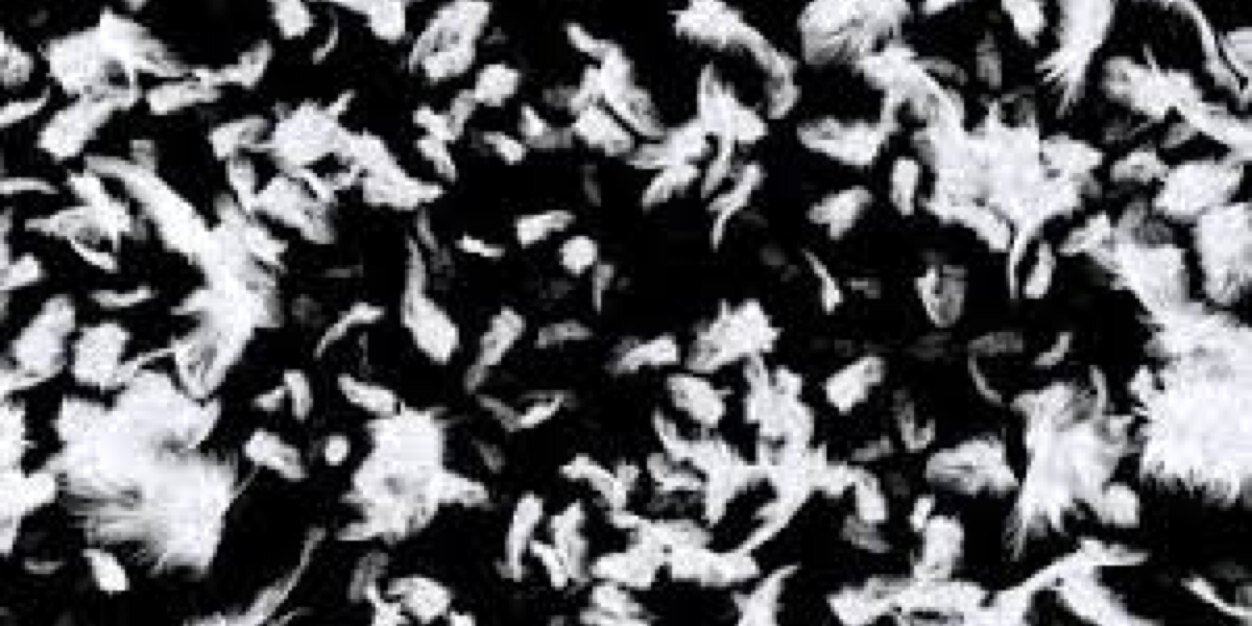 ClariceCobb's profile banner image