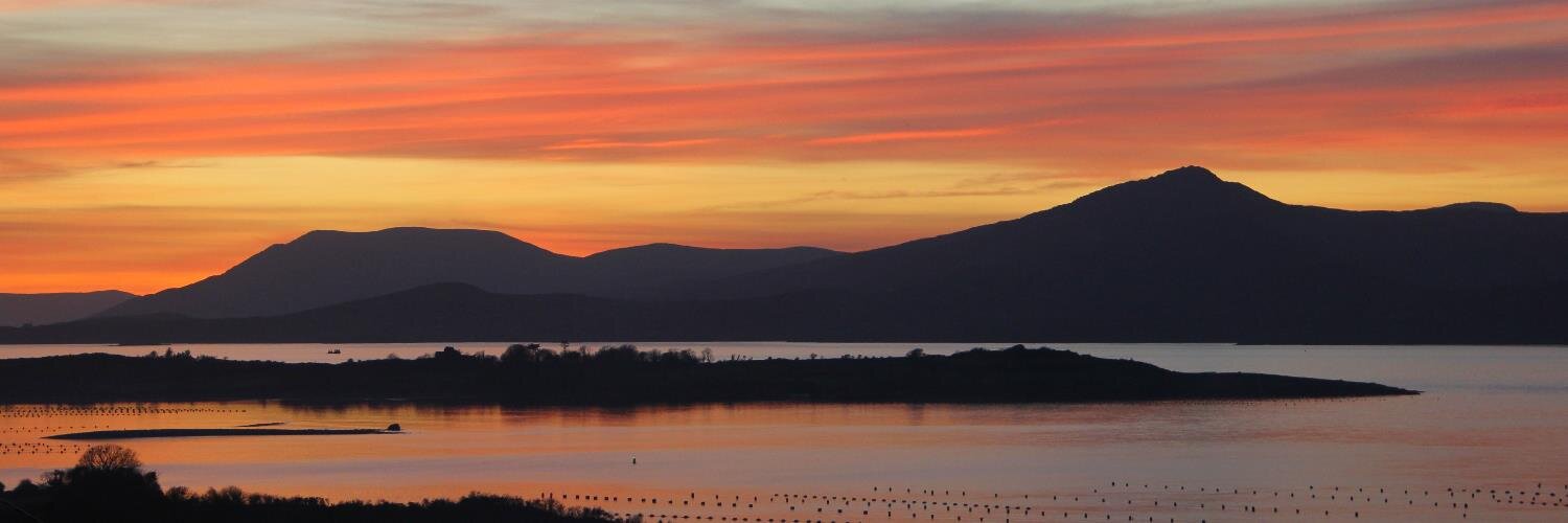 DeeBantry's profile banner image