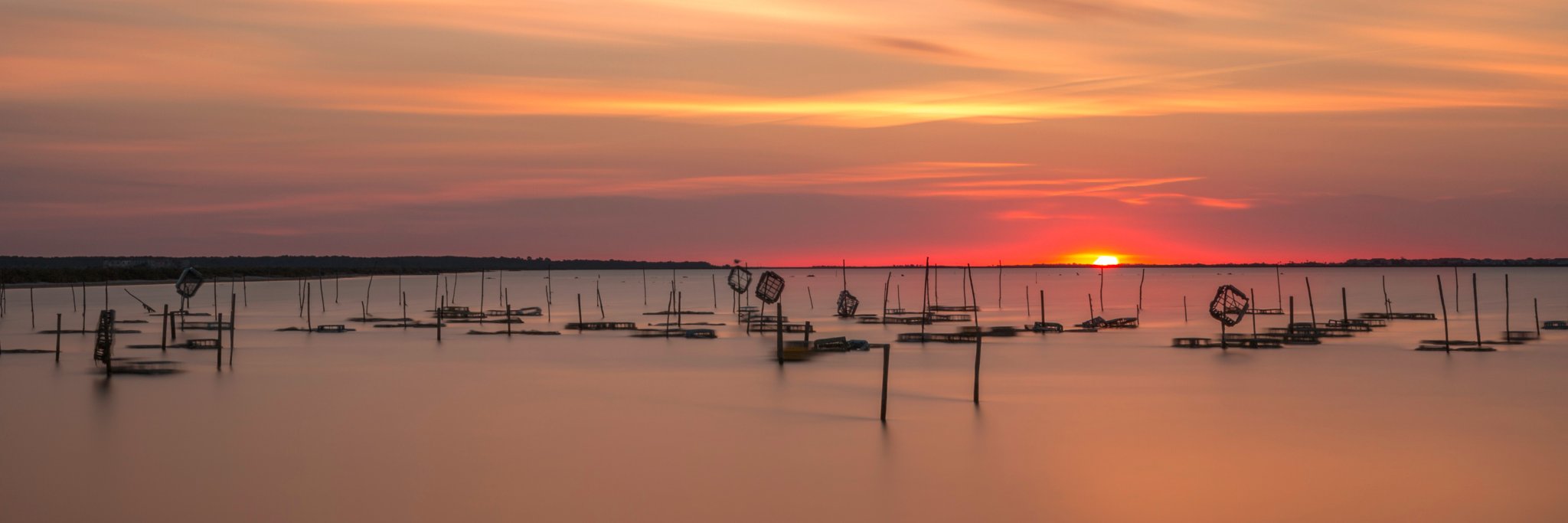SmartInZPhoto's profile banner image