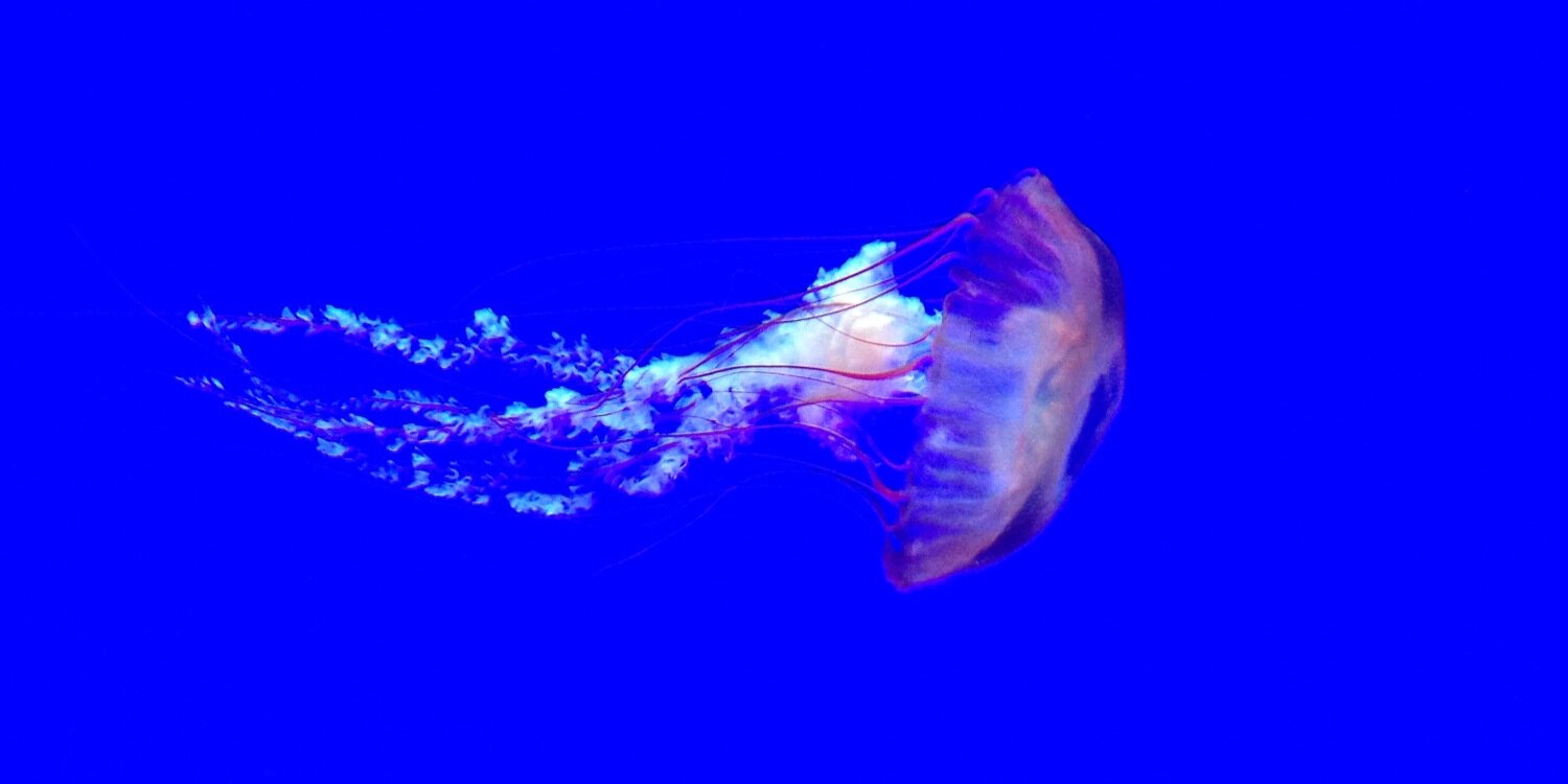 ByerDavid's profile banner image