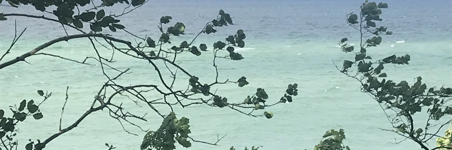 SandraWeiss7's profile banner image