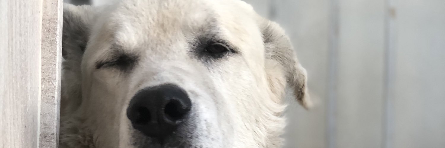 FCG_16's profile banner image