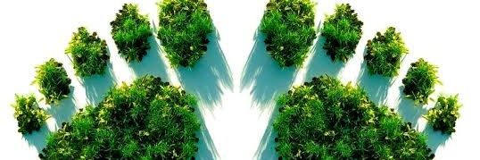 debispsico's profile banner image