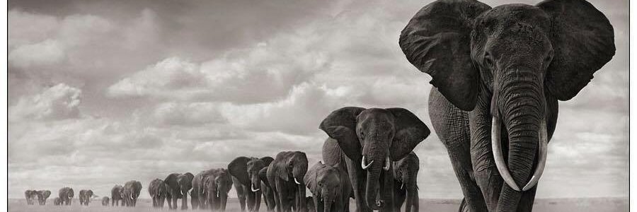 TheNabi's profile banner image
