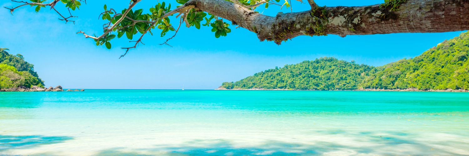 Robertmuradin's profile banner image