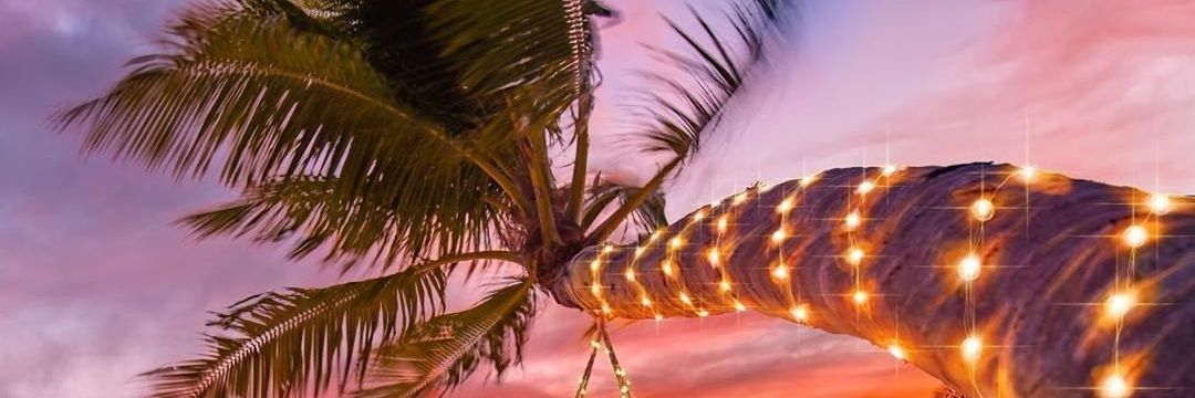 sunrise_pau's profile banner image