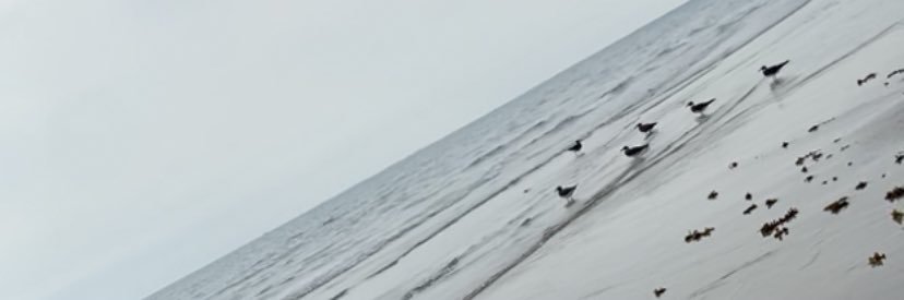 hmz4x's profile banner image