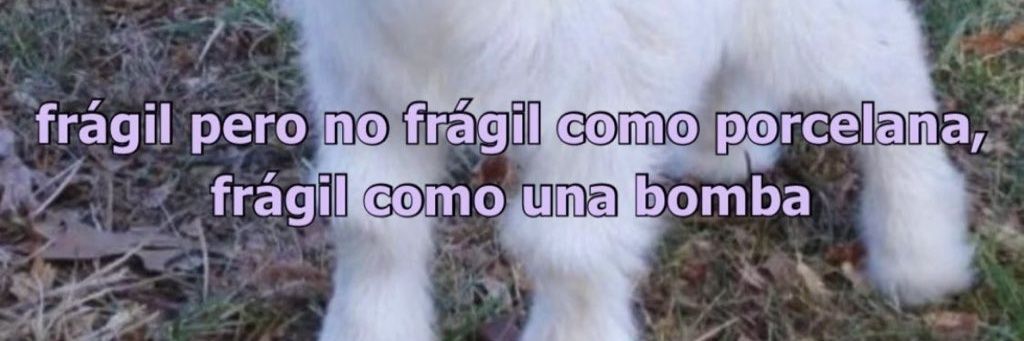 kata_bel's profile banner image
