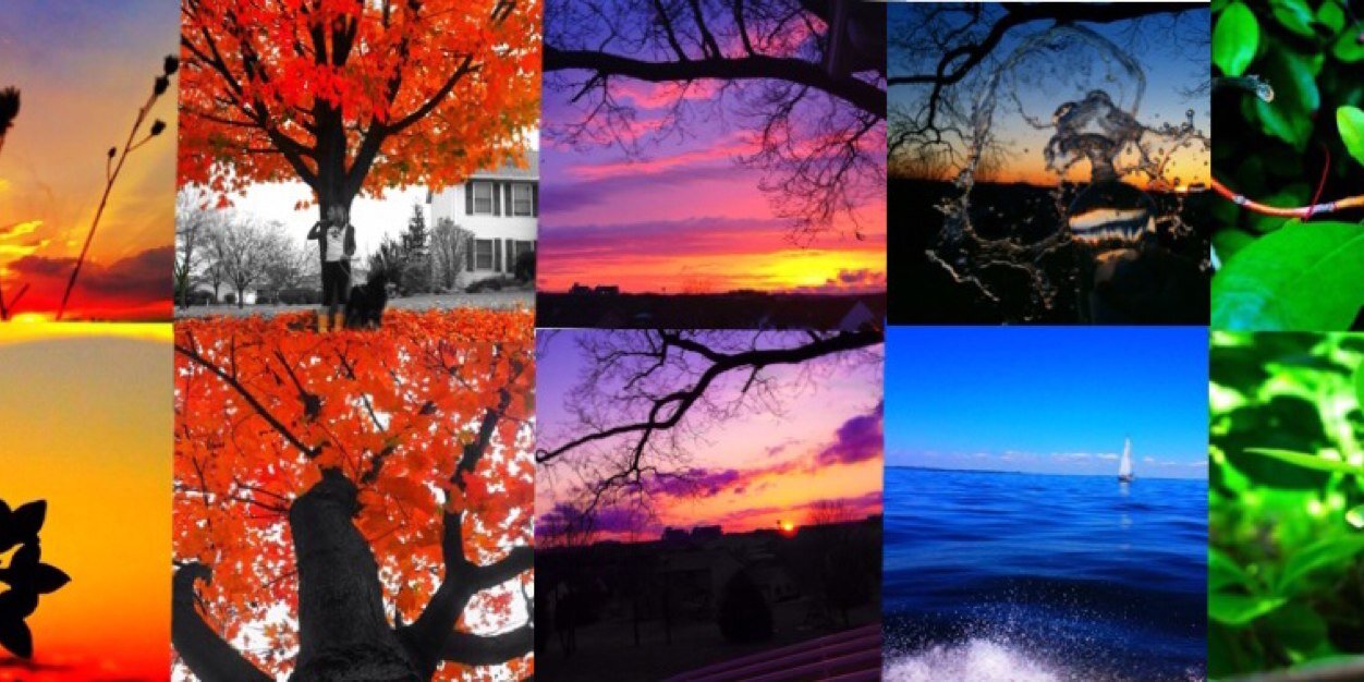 Trex2882's profile banner image