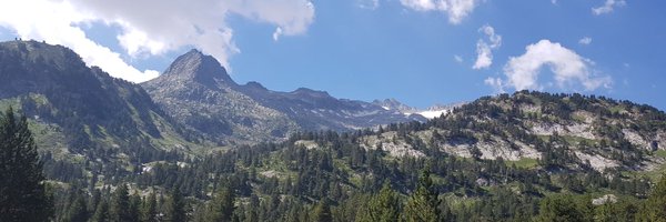 PHortiguela Profile Banner