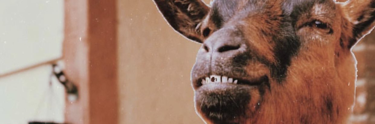 roselennon108's profile banner image