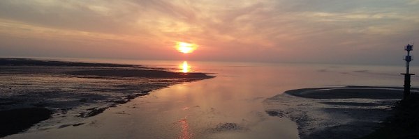 Cocolagy Profile Banner