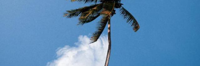 SMHajeri's profile banner image