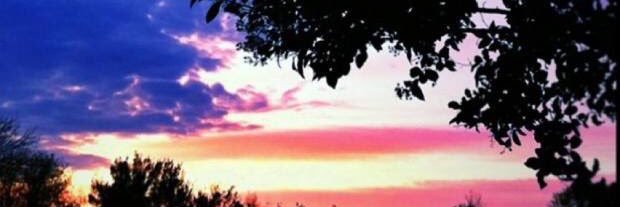 _lovelila's profile banner image