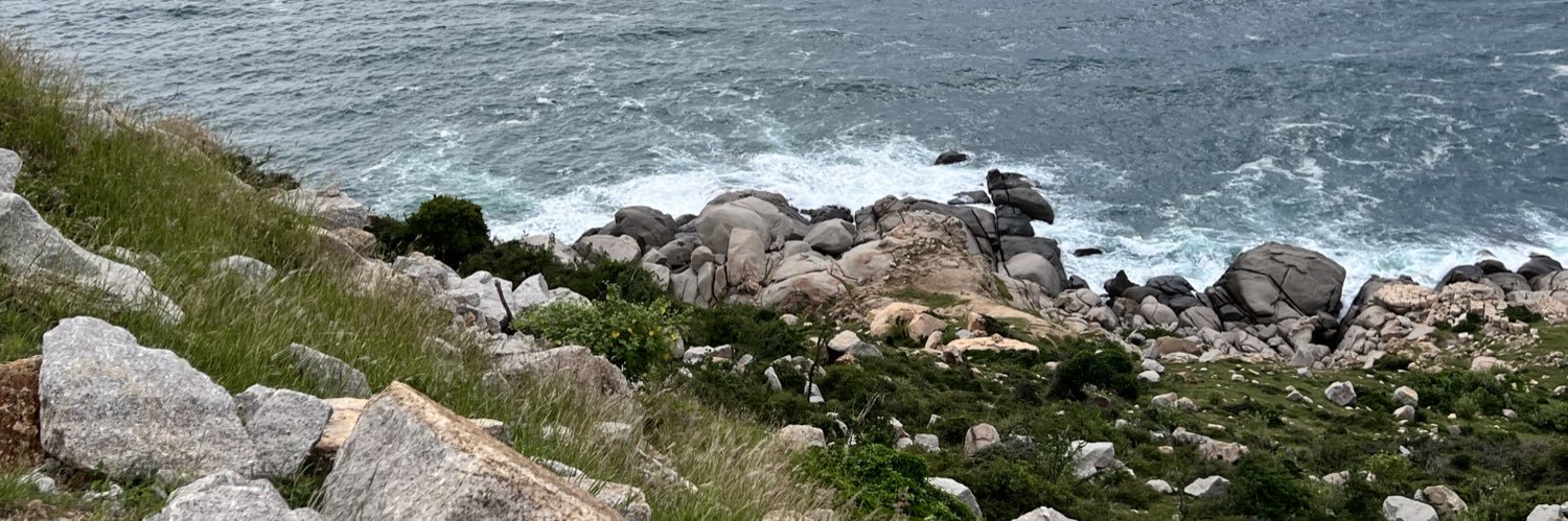 Cao Thanh Long banner