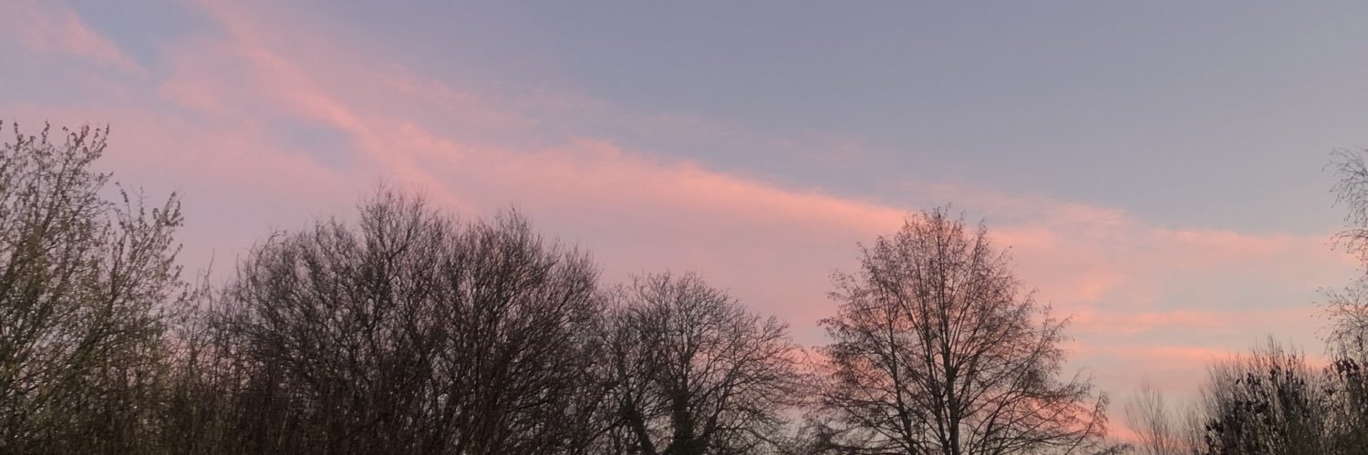 MathildeRM's profile banner image