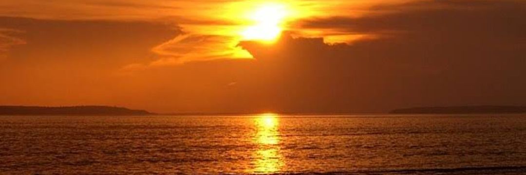 CostaHilton's profile banner image