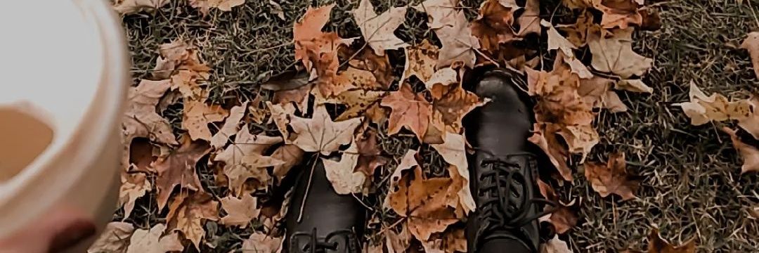 haleyzemlock's profile banner image