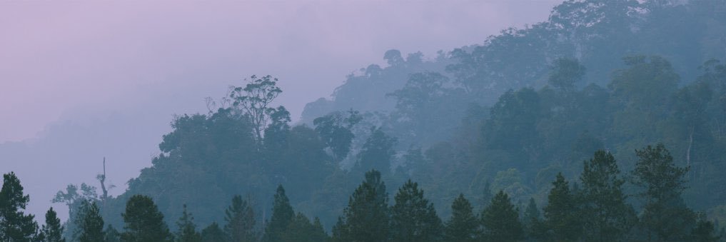 sedkken's profile banner image