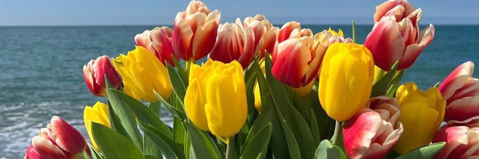 Наталья banner