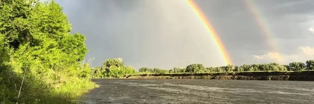 natalindris's profile banner image