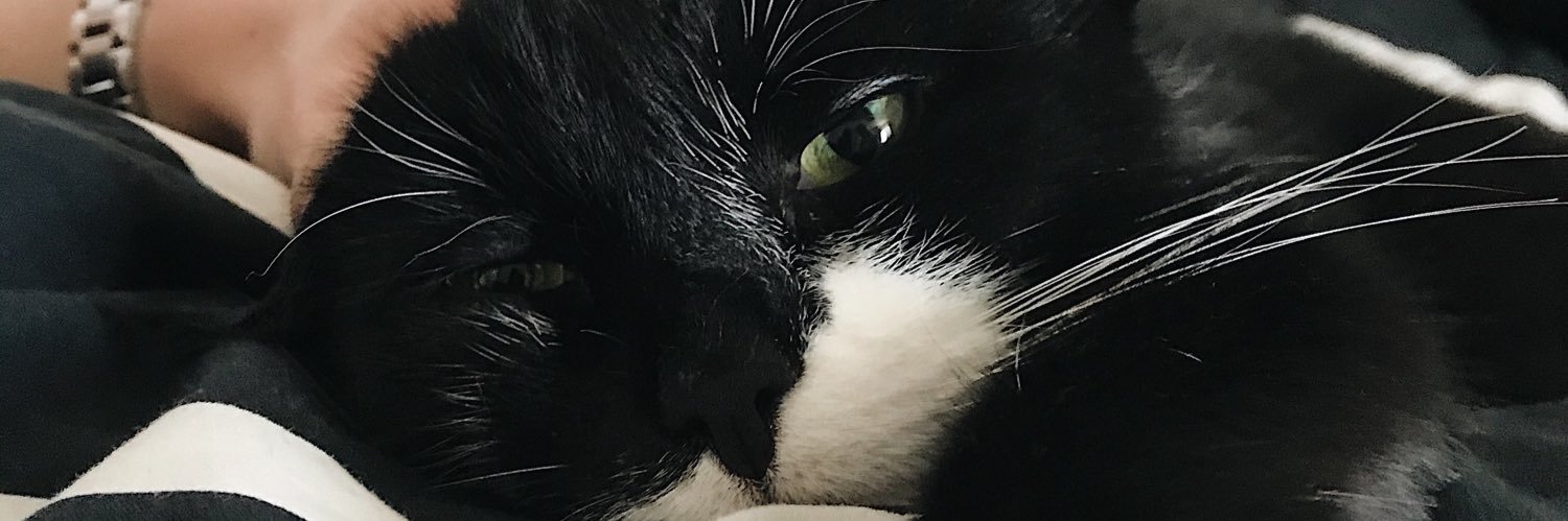 MalinSterner's profile banner image