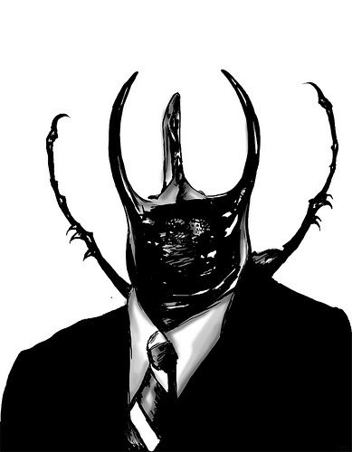 AFox_IReckon's profile banner image