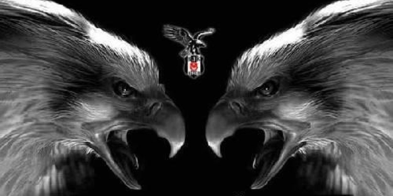 ilayasln's profile banner image