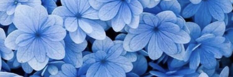emybalotto's profile banner image