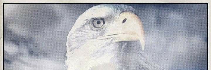 stephen suter banner