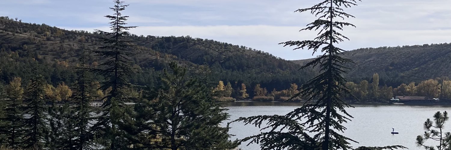 measbas's profile banner image