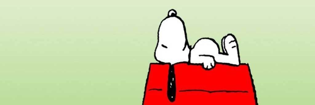 Fernandapreta's profile banner image
