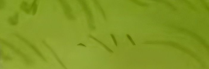 matvcd's profile banner image